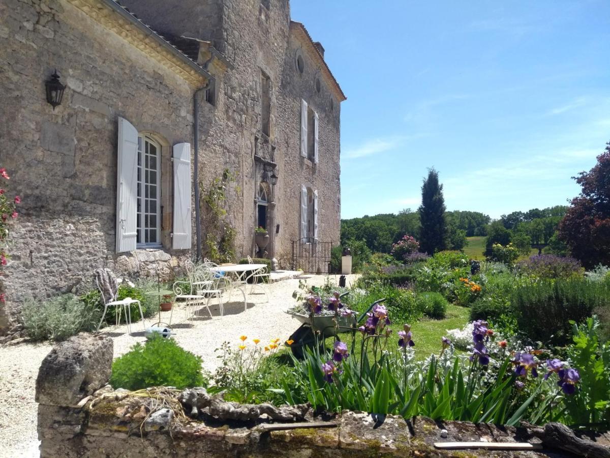 Chateau Barayre - Beautiful 12Th Century Castle With Pool And Large Garden Laussou المظهر الخارجي الصورة